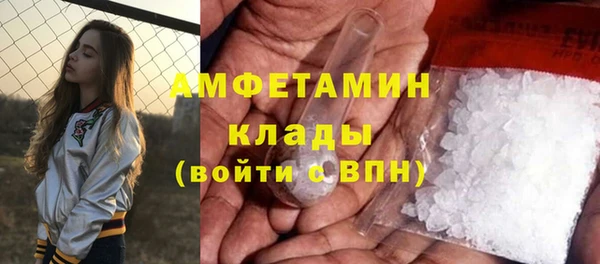 ГАЛЛЮЦИНОГЕННЫЕ ГРИБЫ Вязники